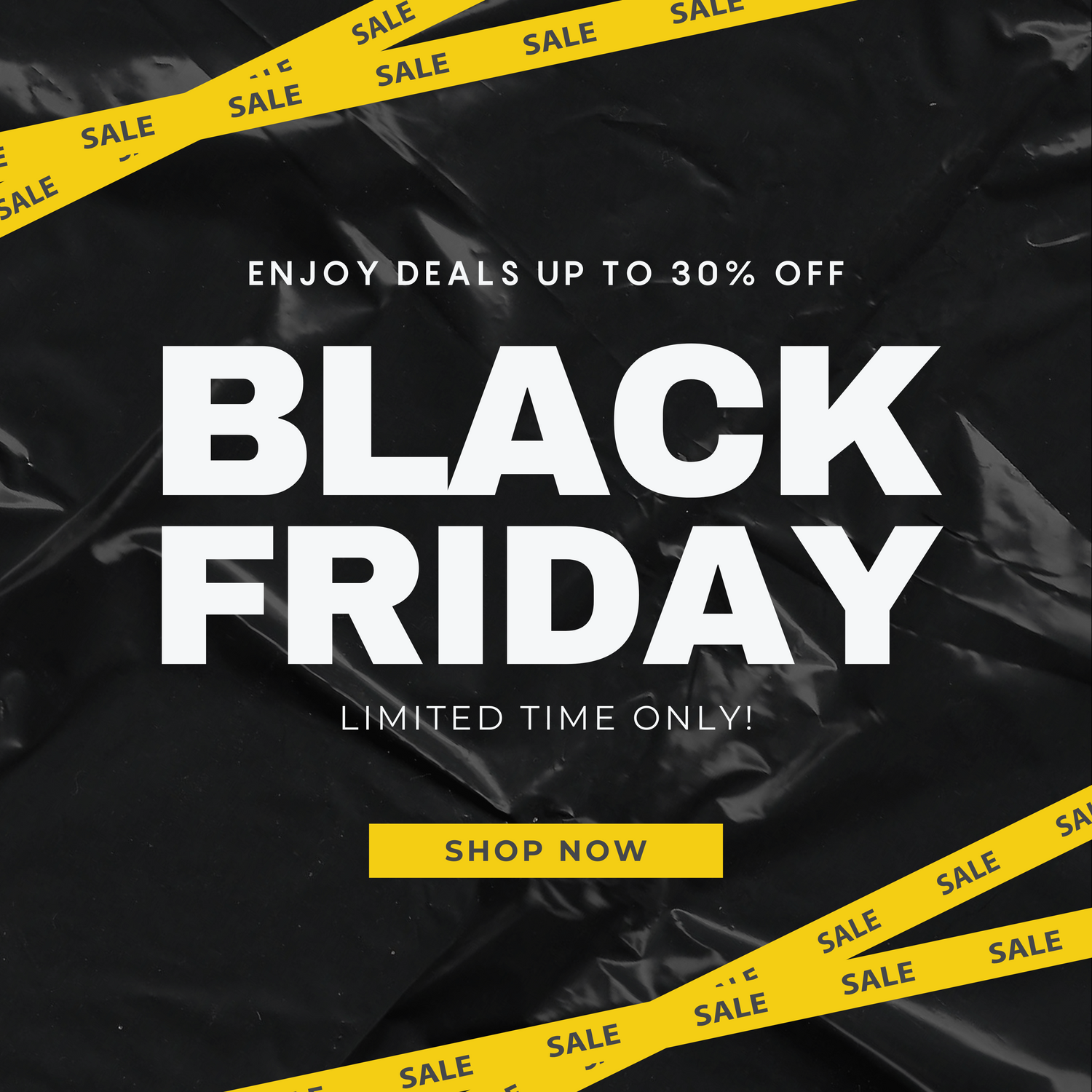 Black Friday Sale